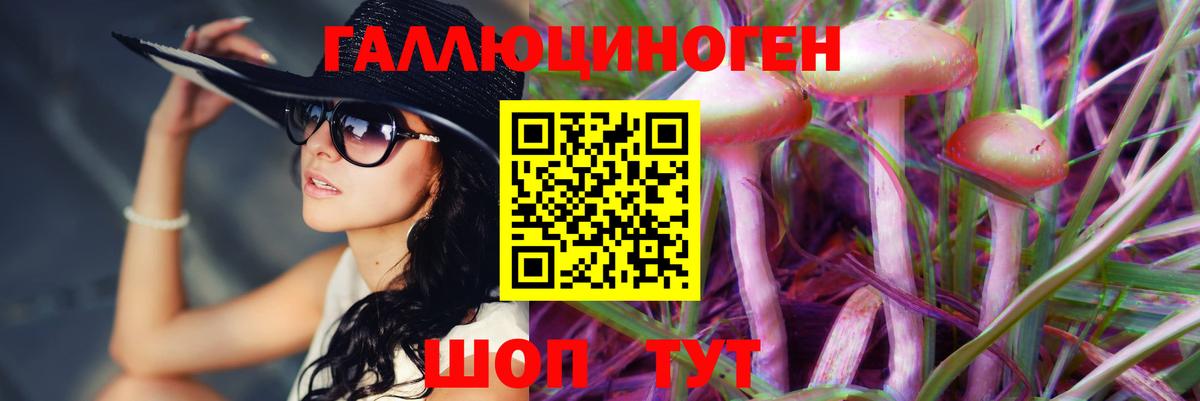 Псилоцибиновые грибы Magic Shrooms  Вход с VPN  Псилоцибиновые грибы ЛСД  Курчалой 